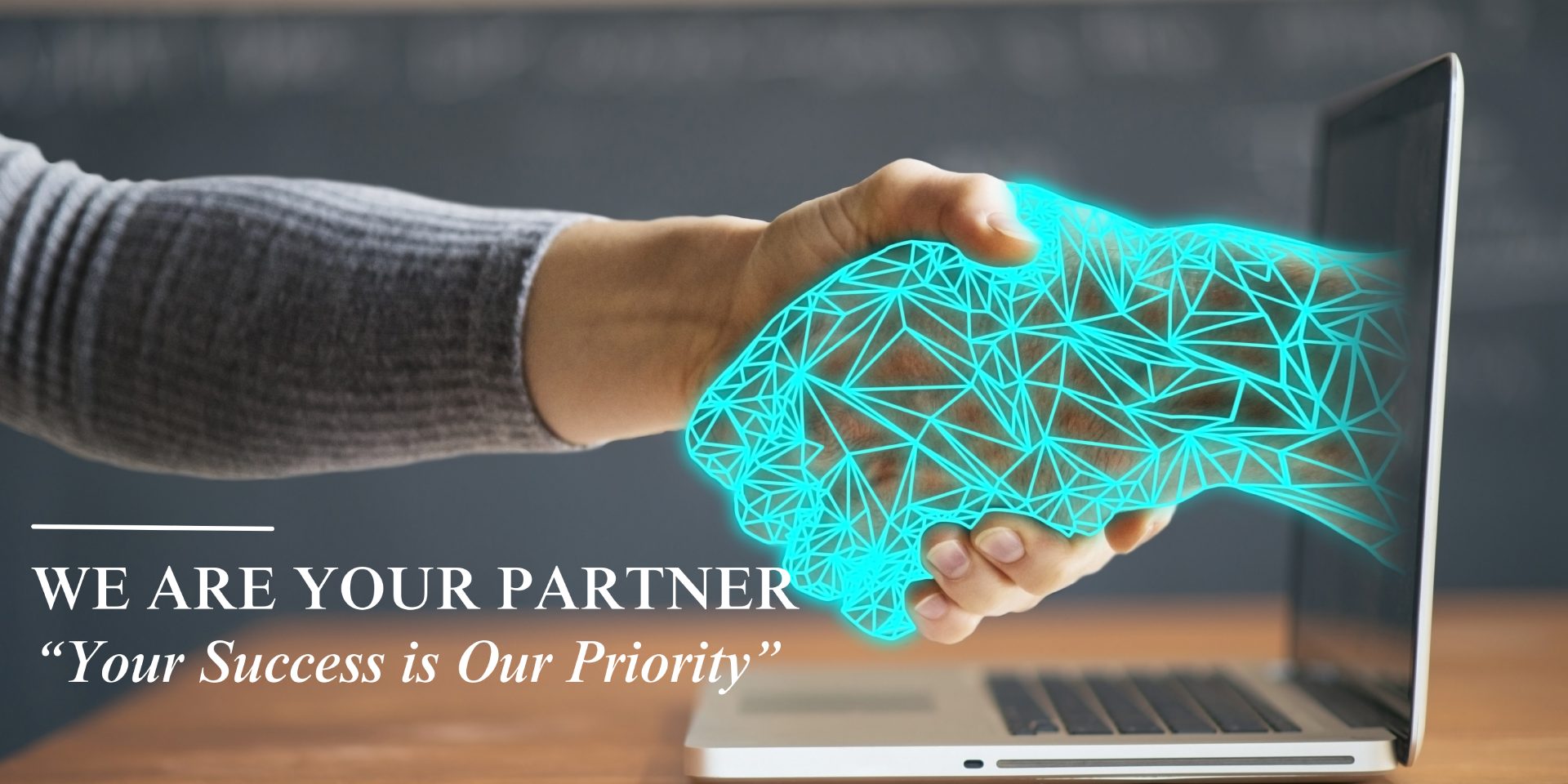 We Are Your Partner